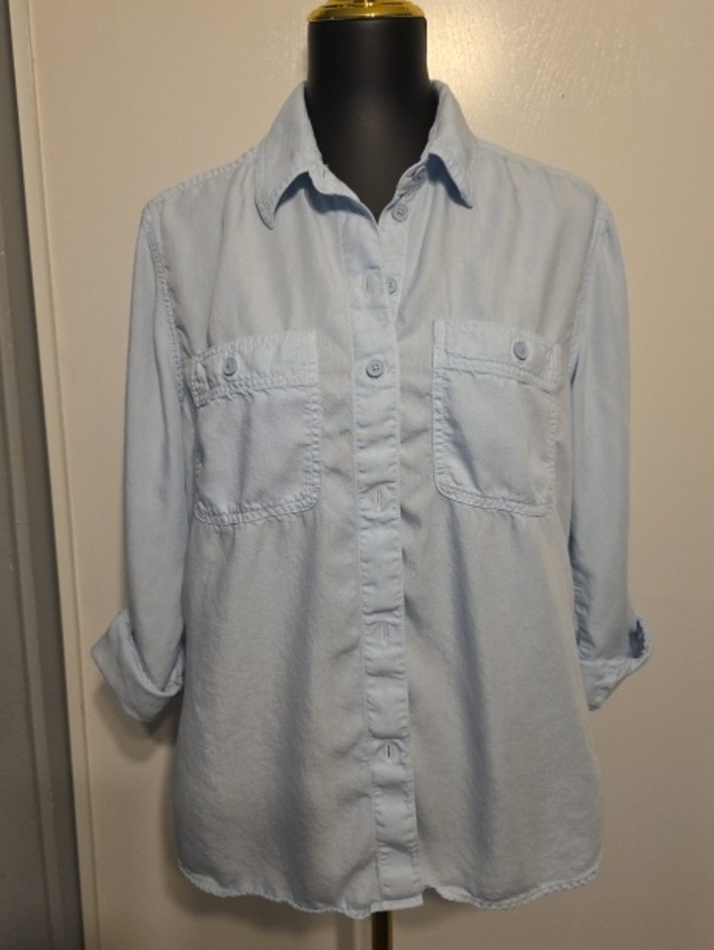 American Eagle Outfitters Light Blue Button-Down Shirt